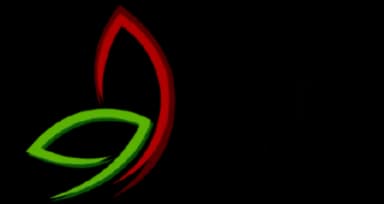 Veer Energy logo